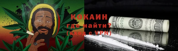 стаф Козловка