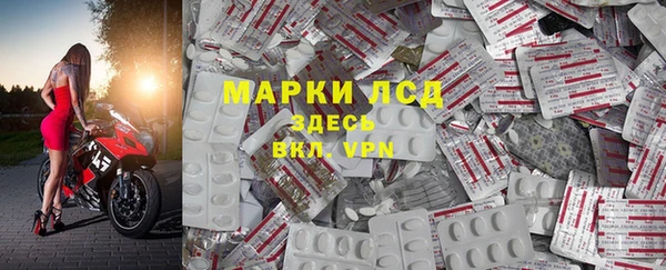 стаф Козловка