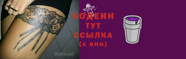 стаф Козловка