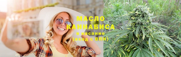 стаф Козловка
