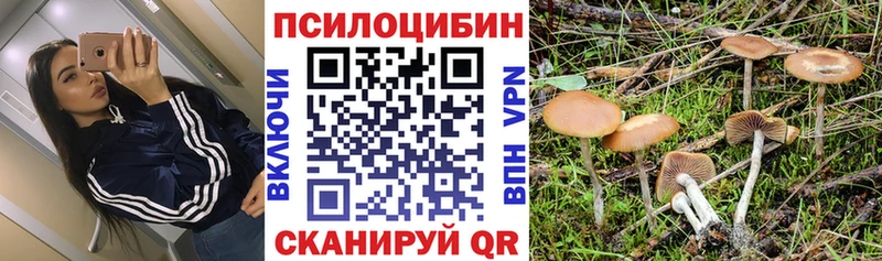 Галлюциногенные грибы MAGIC MUSHROOMS  Купить закладки  Гусиноозёрск 